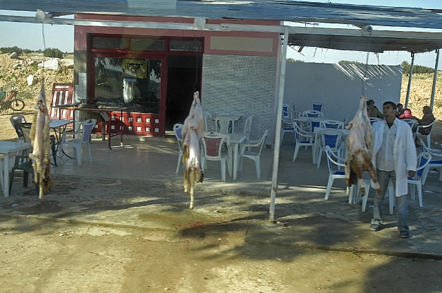 tunisia, atlas, roman, camels-10.jpg - TUNISIA - SHEEP SLAUGHTERED BY THE SIDE OF THE ROAD THROUGHOUT THE COUNTRY